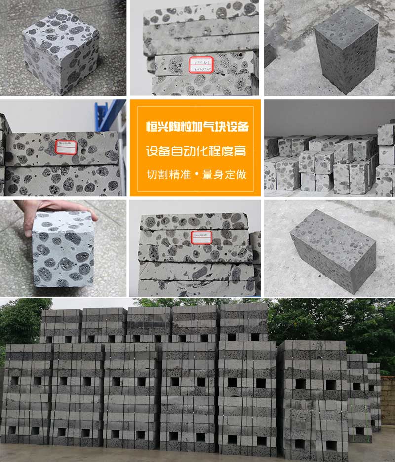 陶(táo)粒加氣(qì)混凝土(tǔ)砌塊 陶(tao)粒加氣(qi)混凝土(tǔ)砌塊